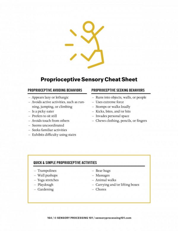 Proprioceptive Sensory Input Explained